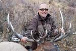 Rifle Bull Elk