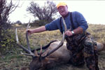 Rifle Bull Elk