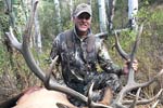Archery Bull Elk
