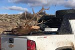 Successful Elk Hunters