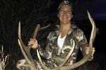 Rifle Bull Elk