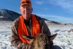 Cow Elk