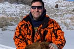 Cow Elk