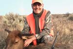 Cow Elk