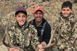 Mule Deer