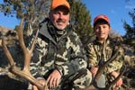 Mule Deer
