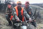 Mule Deer