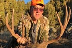 Mule Deer